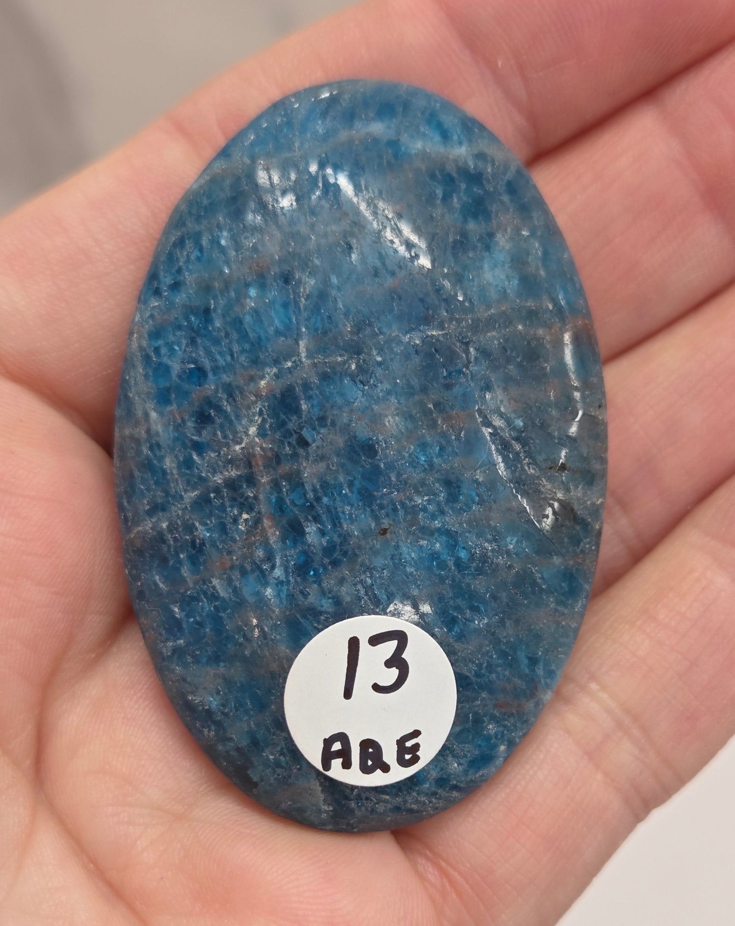 Palm - Blue Apatite