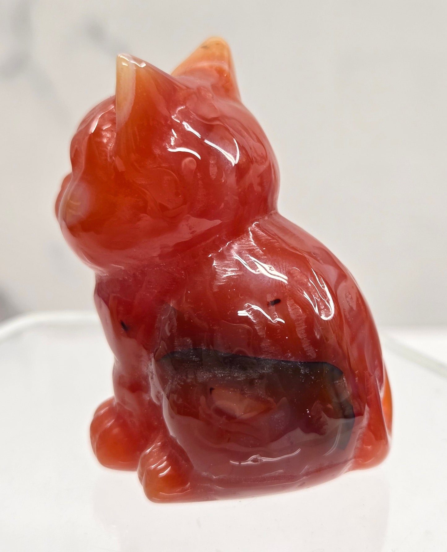 Cute cat/kitty carvings (medium)