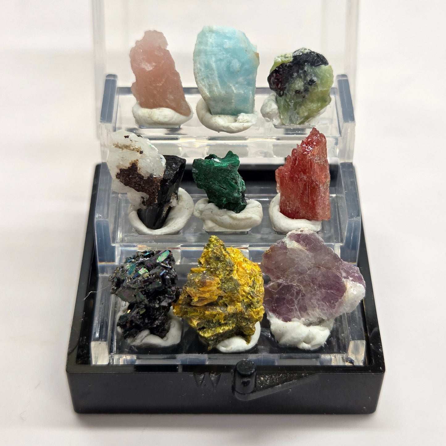 Mini specimen perky boxes