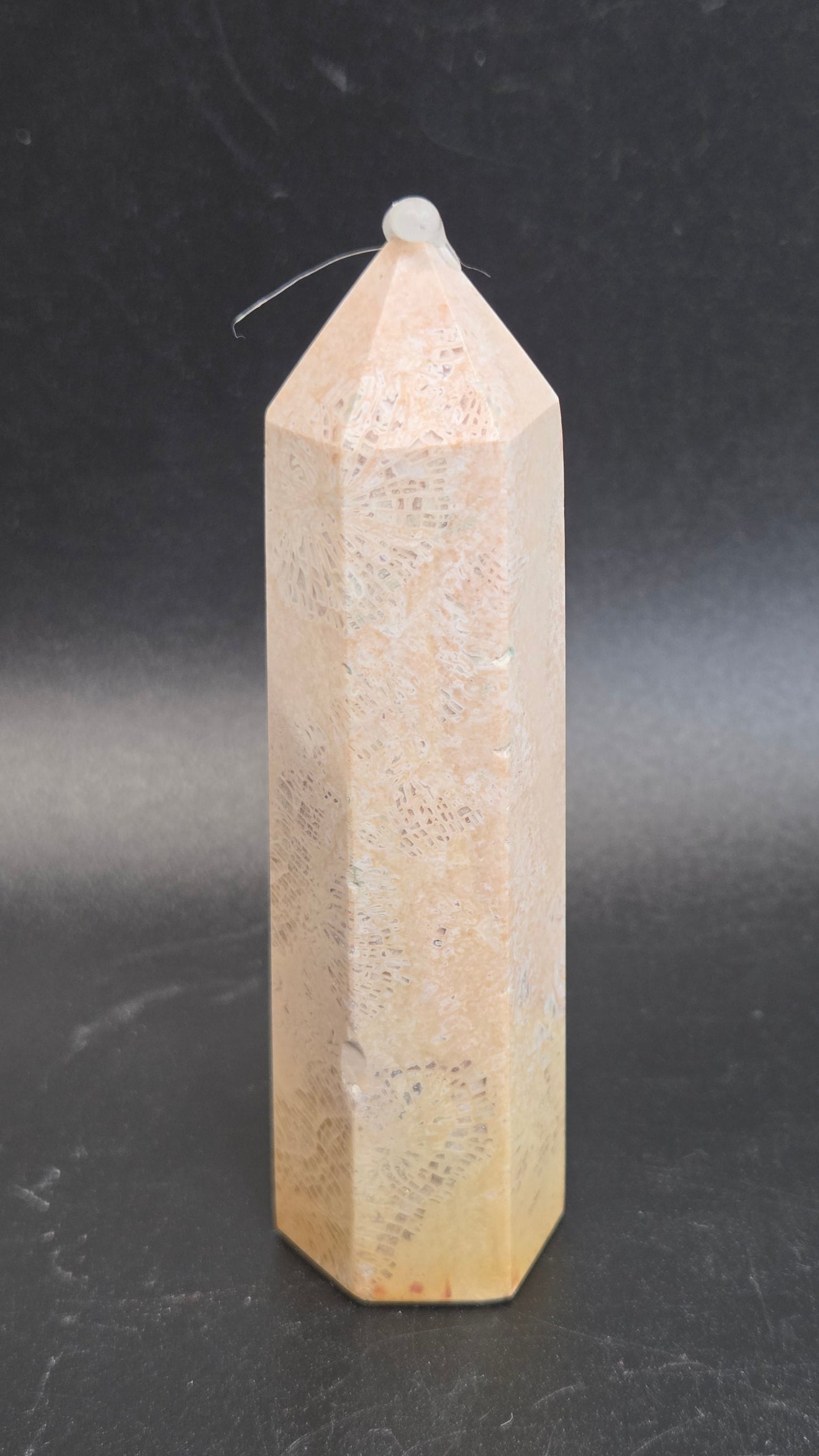 Fossil Coral Jasper tower