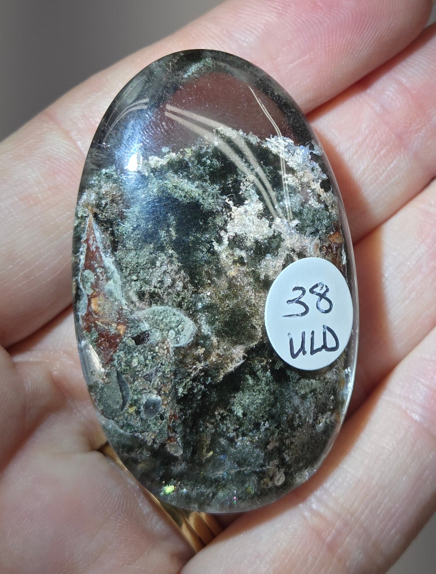 Palm - Garden Quartz