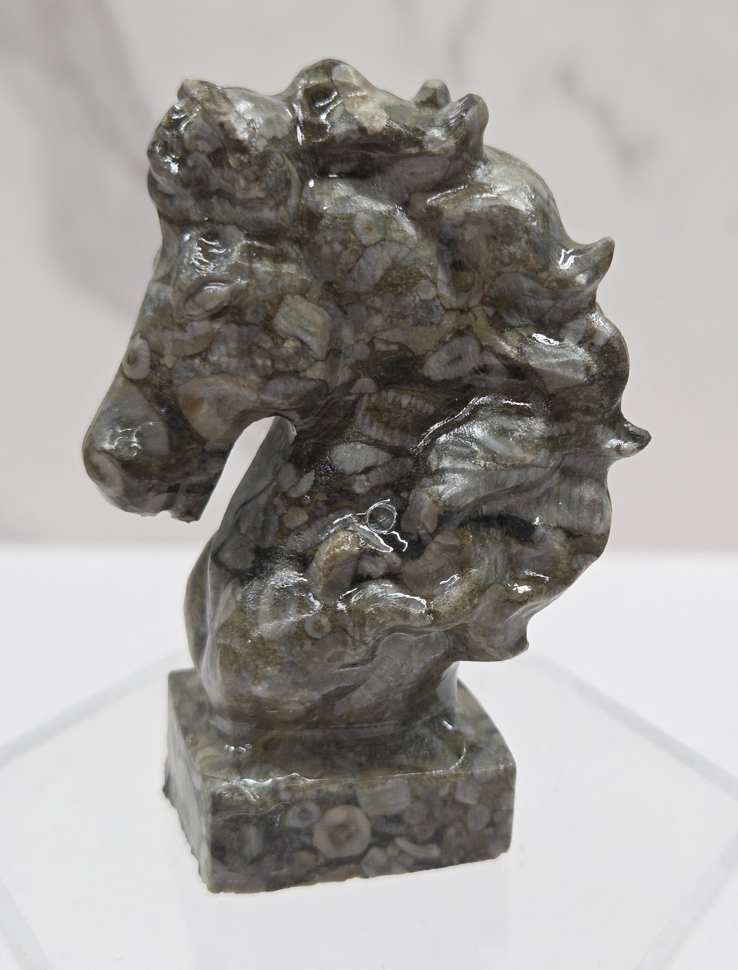 Gray stone sculpture of a horse head with fossils on a white background