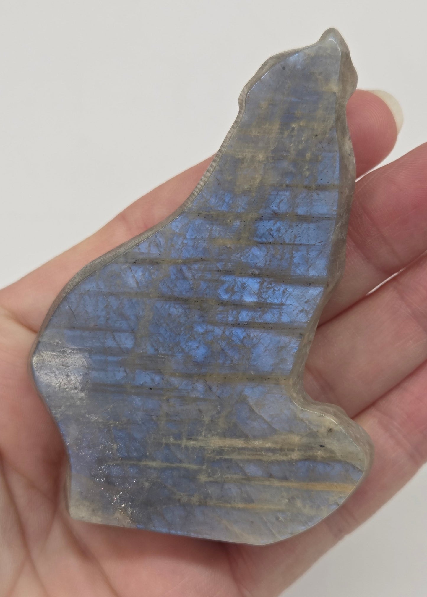 Hand holding a moonstone crystal with a white background