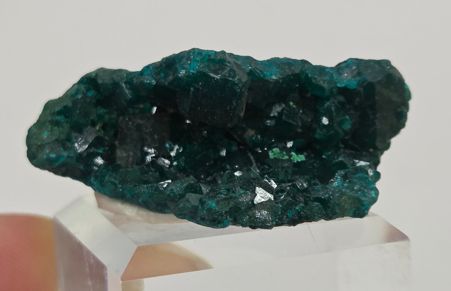 Green dioptase crystal cluster on a white stand against a light gray background