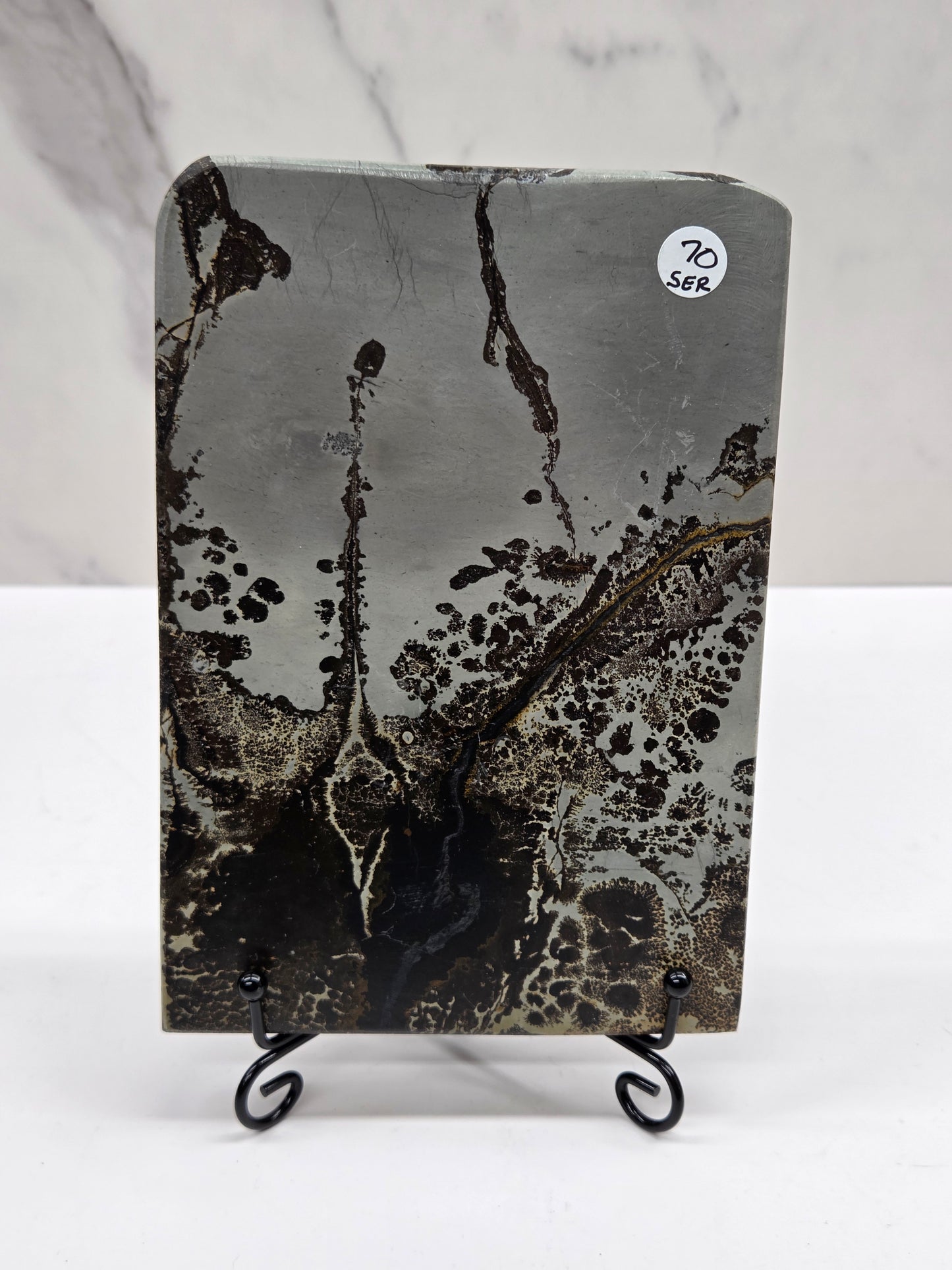 Picture Jasper slab with patterns on a black stand against a white background