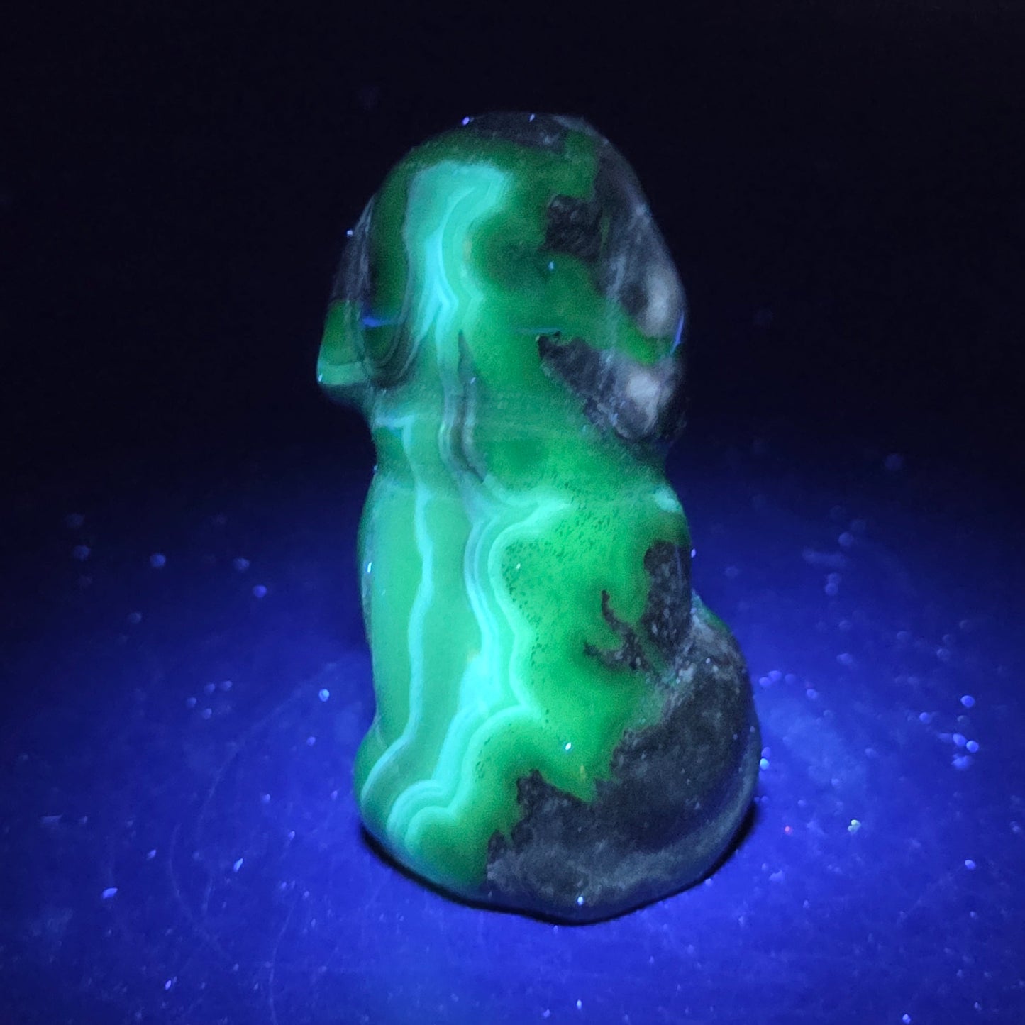 Stone dog carving under a UV lighting on a dark background