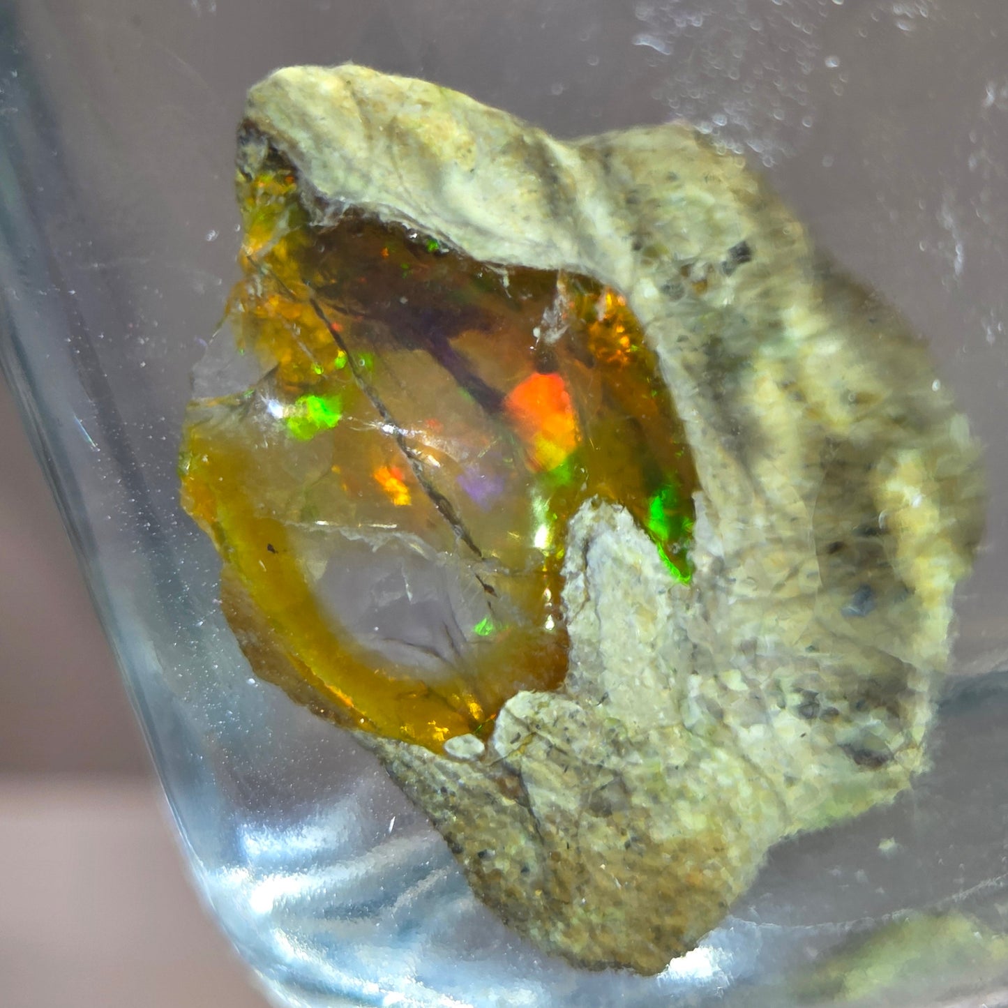 Mineral sample with colorful interior on a reflective surface