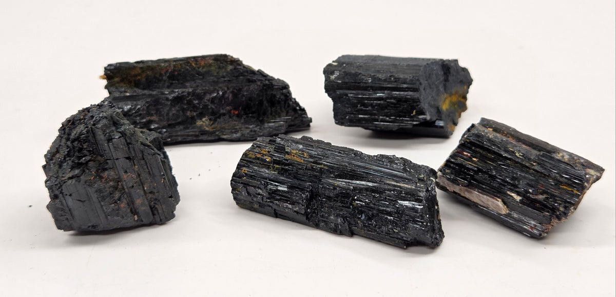 Five rough black mineral or crystal chunks with a glossy, layered texture arranged on a plain white surface.