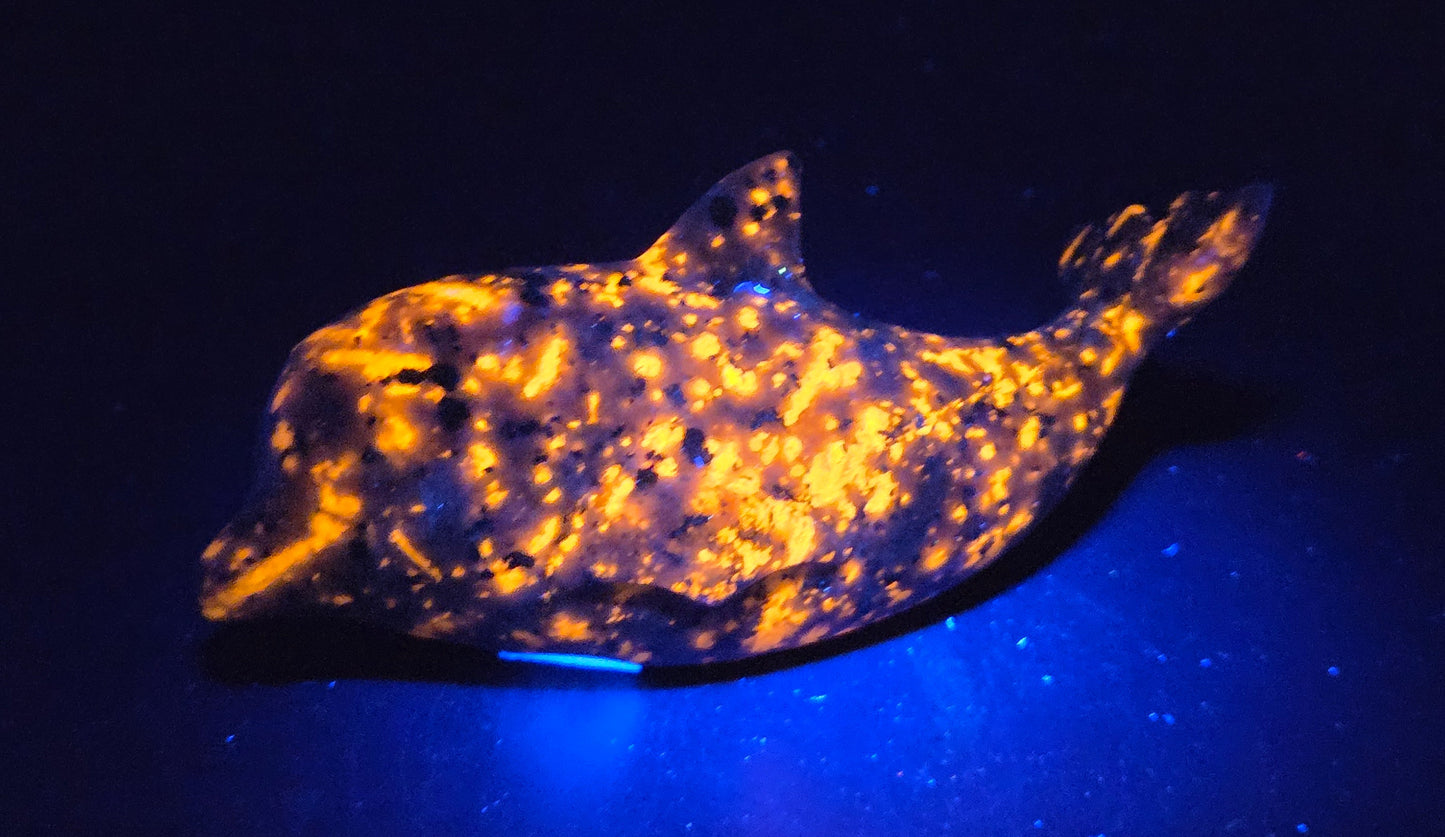 A dolphin-shaped decorative object with a glowing orange and yellow mottled pattern, photographed in a dark blue-black environment that casts a blue glow beneath it.