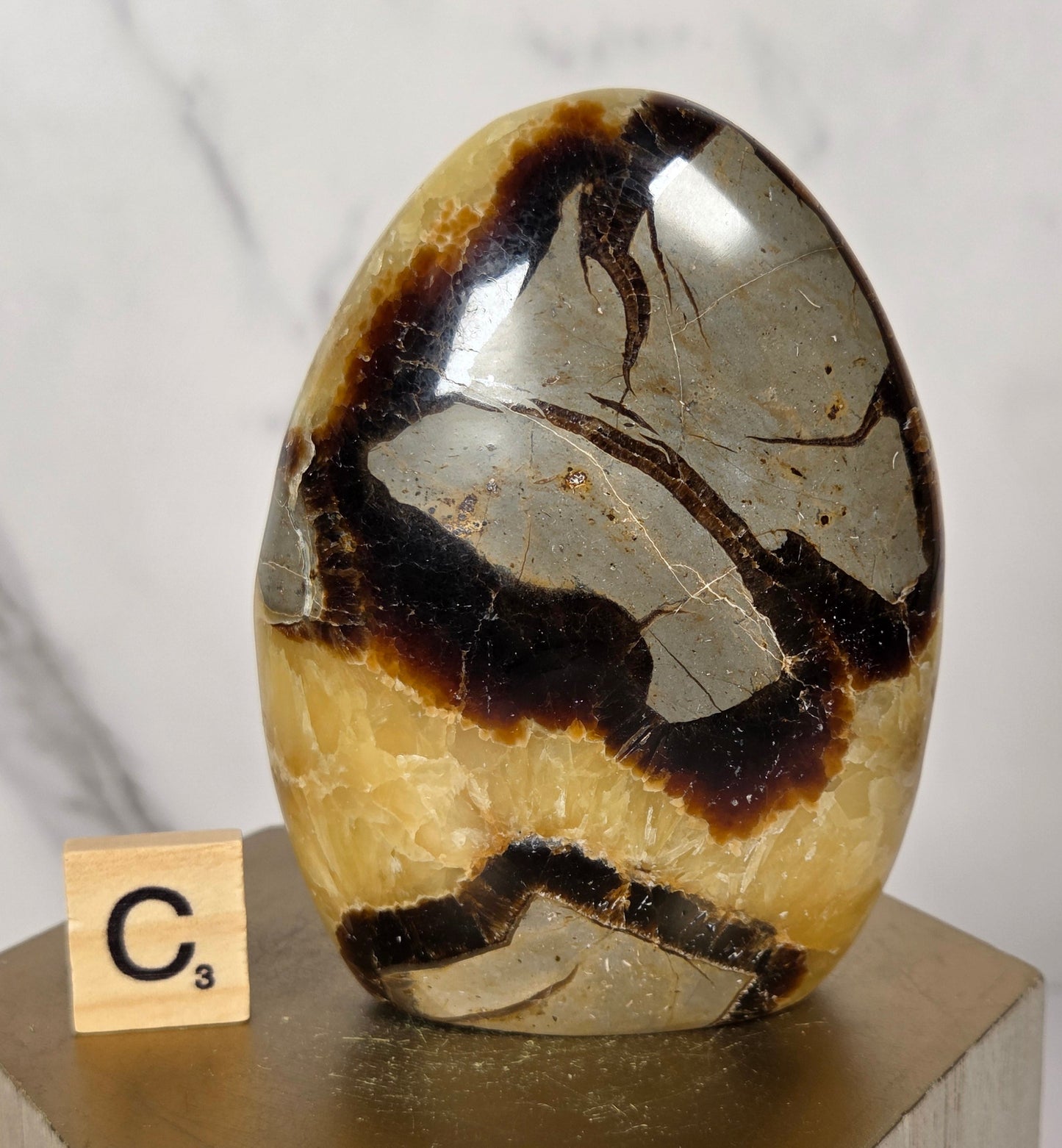 A polished oval stone specimen with dark brown and black veining over a warm beige base, mounted on a light wood block with a small wooden tag marked 'C°'.