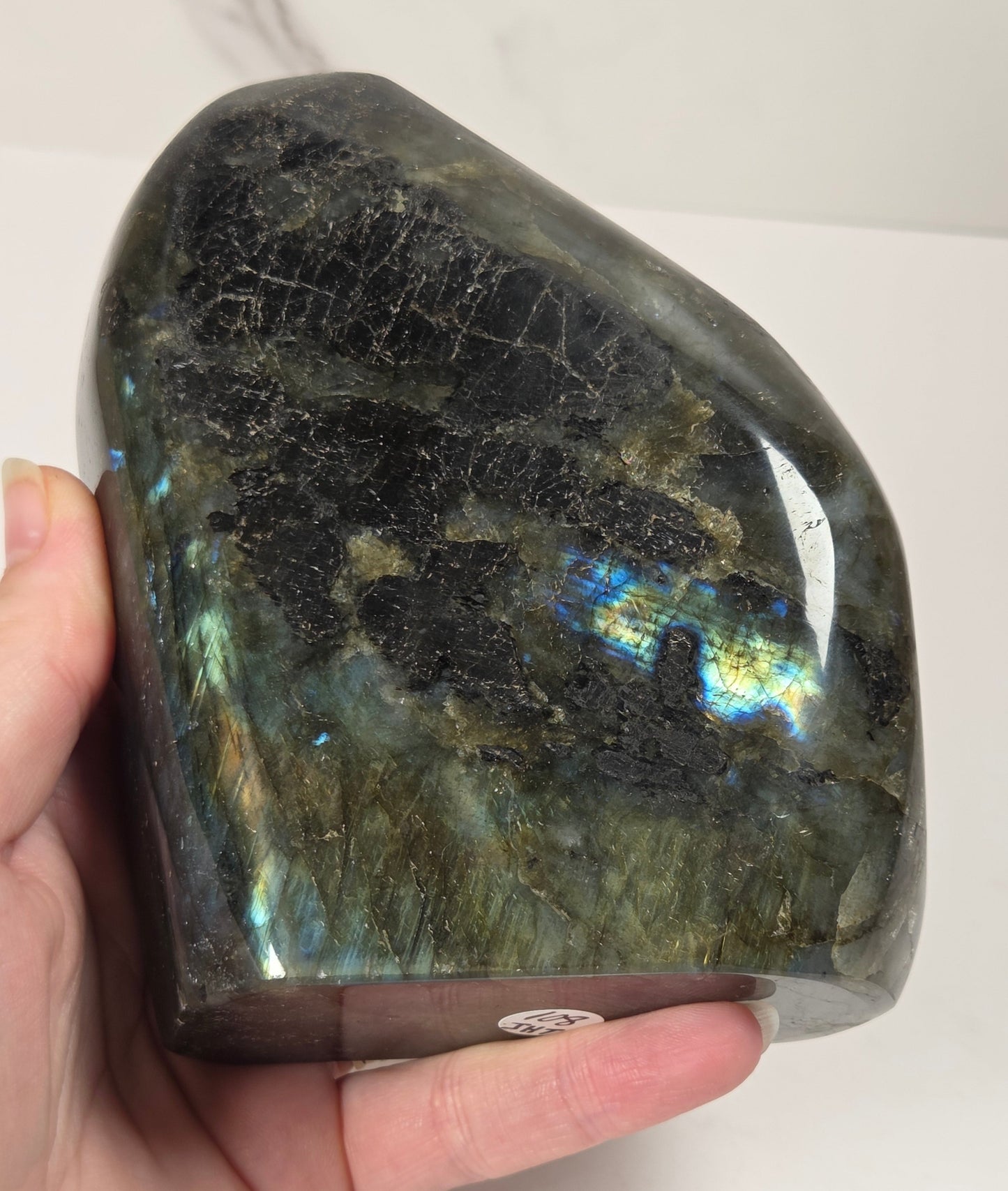 A hand holding a polished labradorite stone showing a dark gray to black base with vibrant iridescent flashes of blue, green, and gold. The stone is photographed against a plain white background.