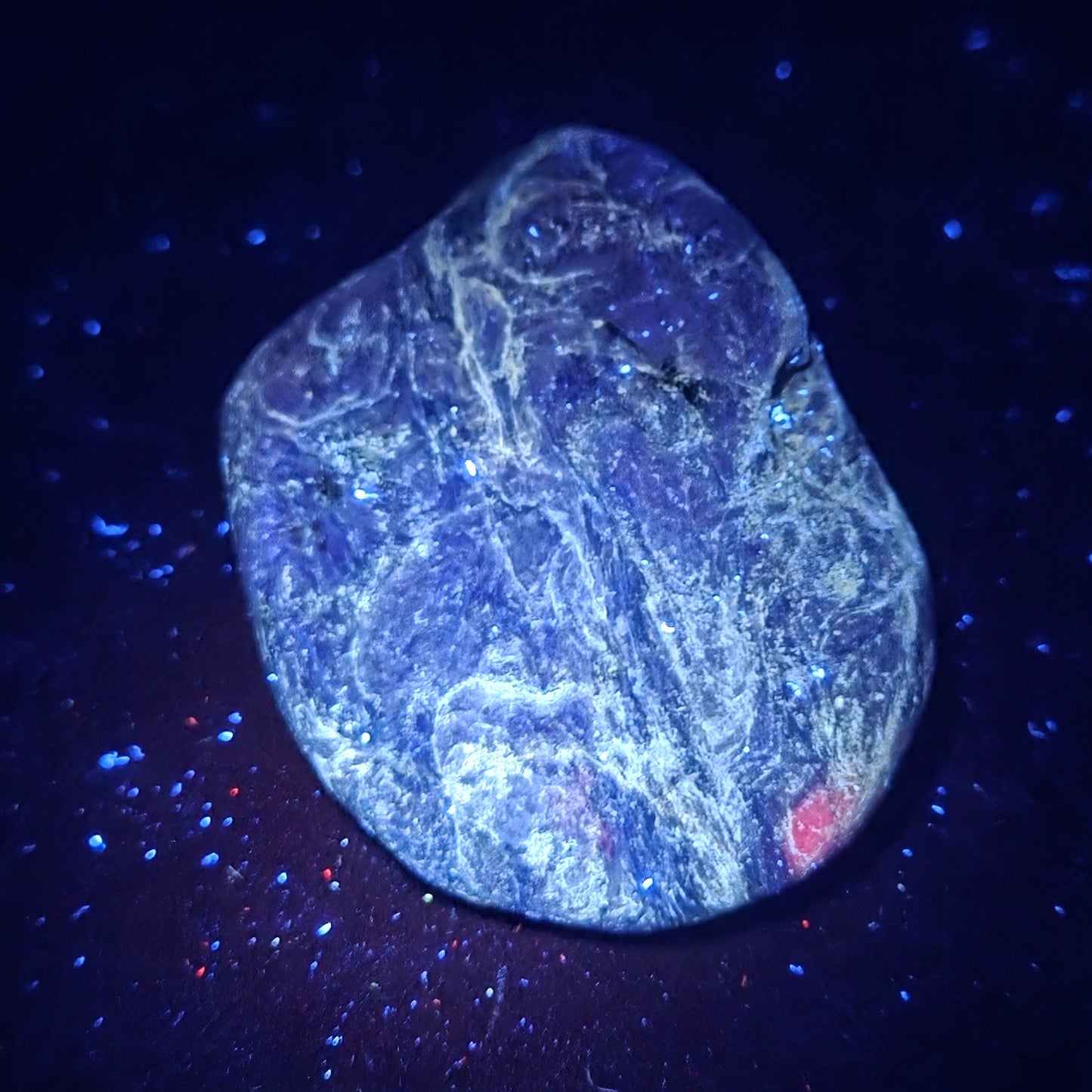 A rough, polished blue stone or mineral specimen with white veining and a small red inlay, photographed against a dark background under blue light.