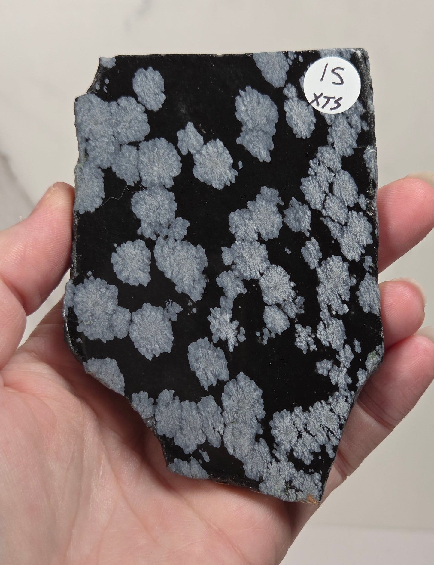 A hand holding a small irregular black tile or slab with a repeating light gray floral or cloud-like pattern. A small white sticker with handwritten text is visible in the top-right corner of the patterned surface.