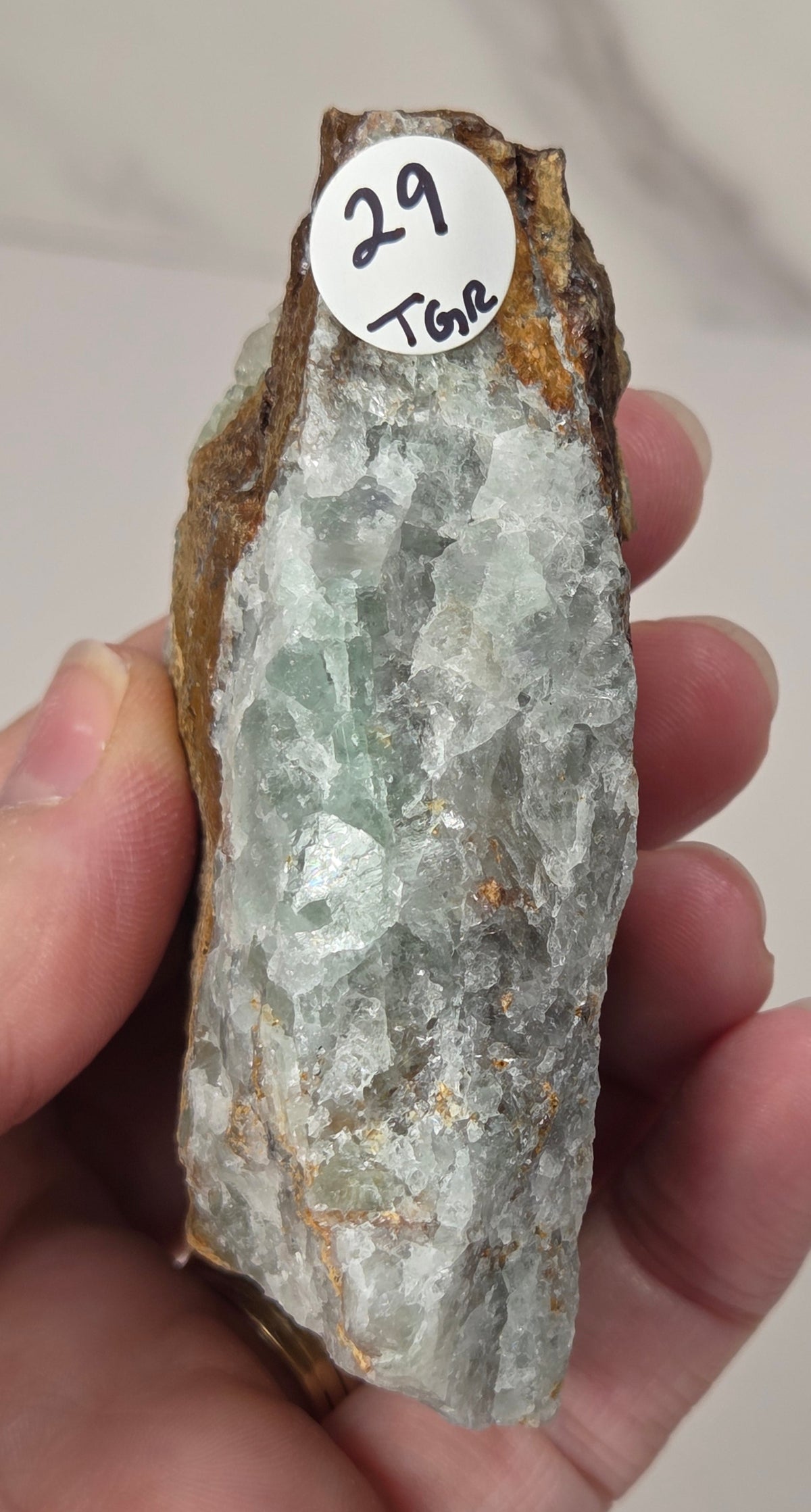 A hand holding a raw mineral specimen with a white sticker labeled '29 The', showing a light green and white crystalline structure on a rough brown and tan outer surface, against a light gray marble-patterned background.