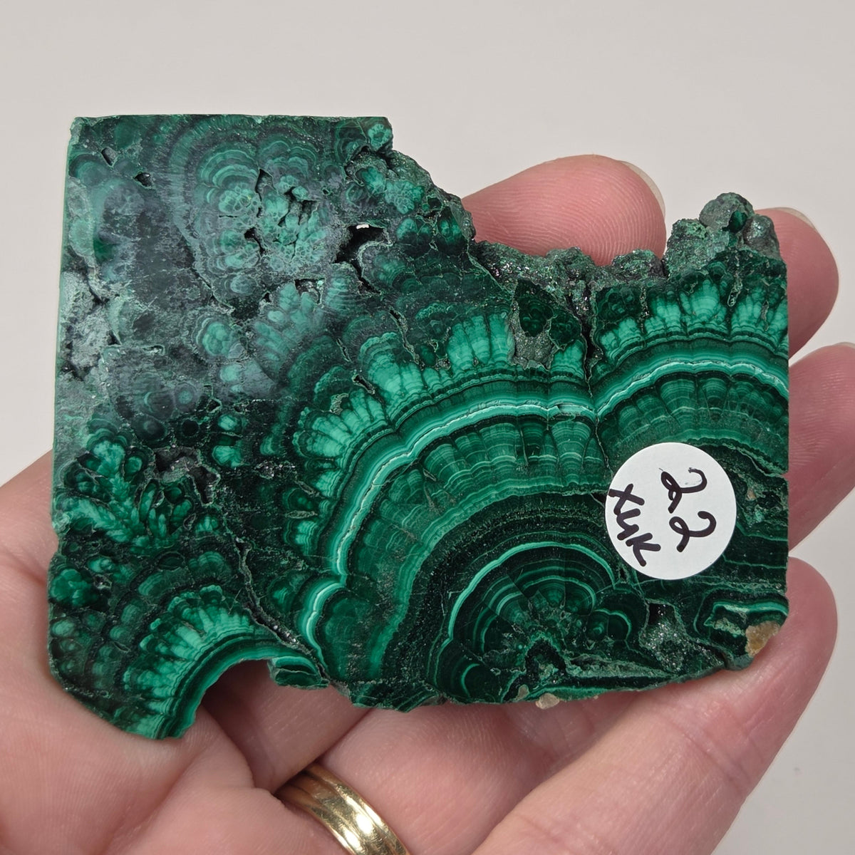 A hand holding a raw, rough green malachite crystal specimen with natural banding patterns, shown against a plain light background.