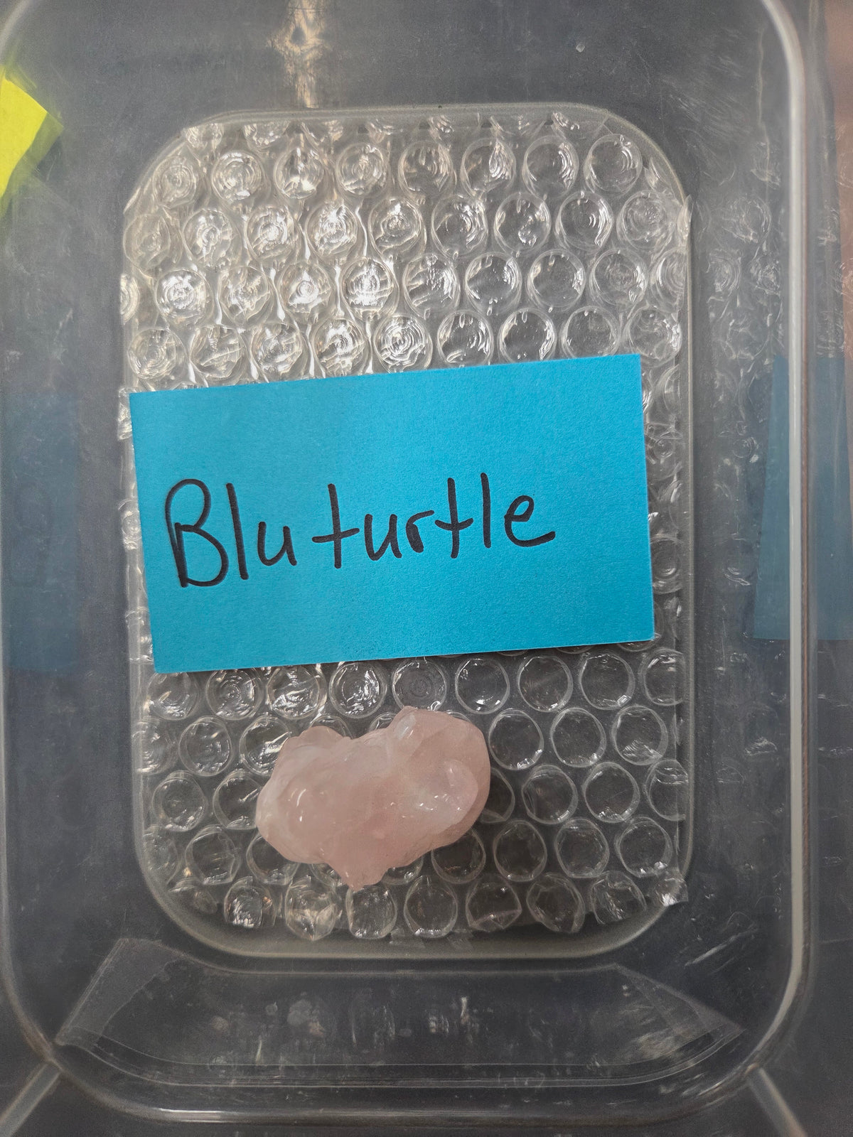 @Bluturtle invoice 9/7