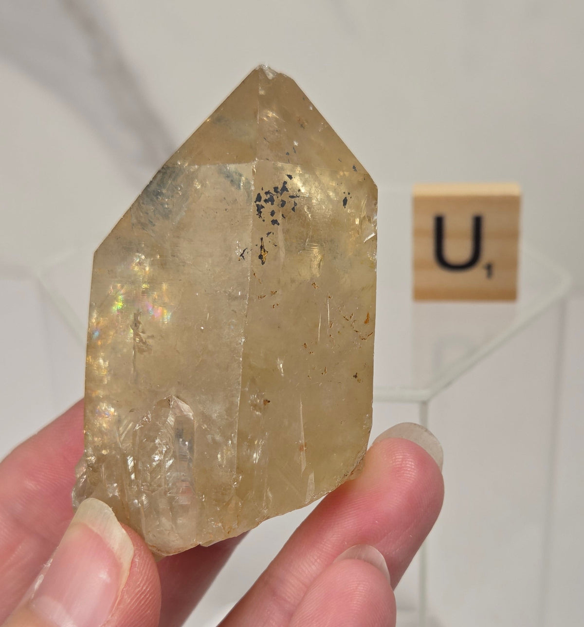 A hand holding a natural quartz crystal point specimen with a rough matrix base. The crystal is translucent golden-brown with some darker inclusions.