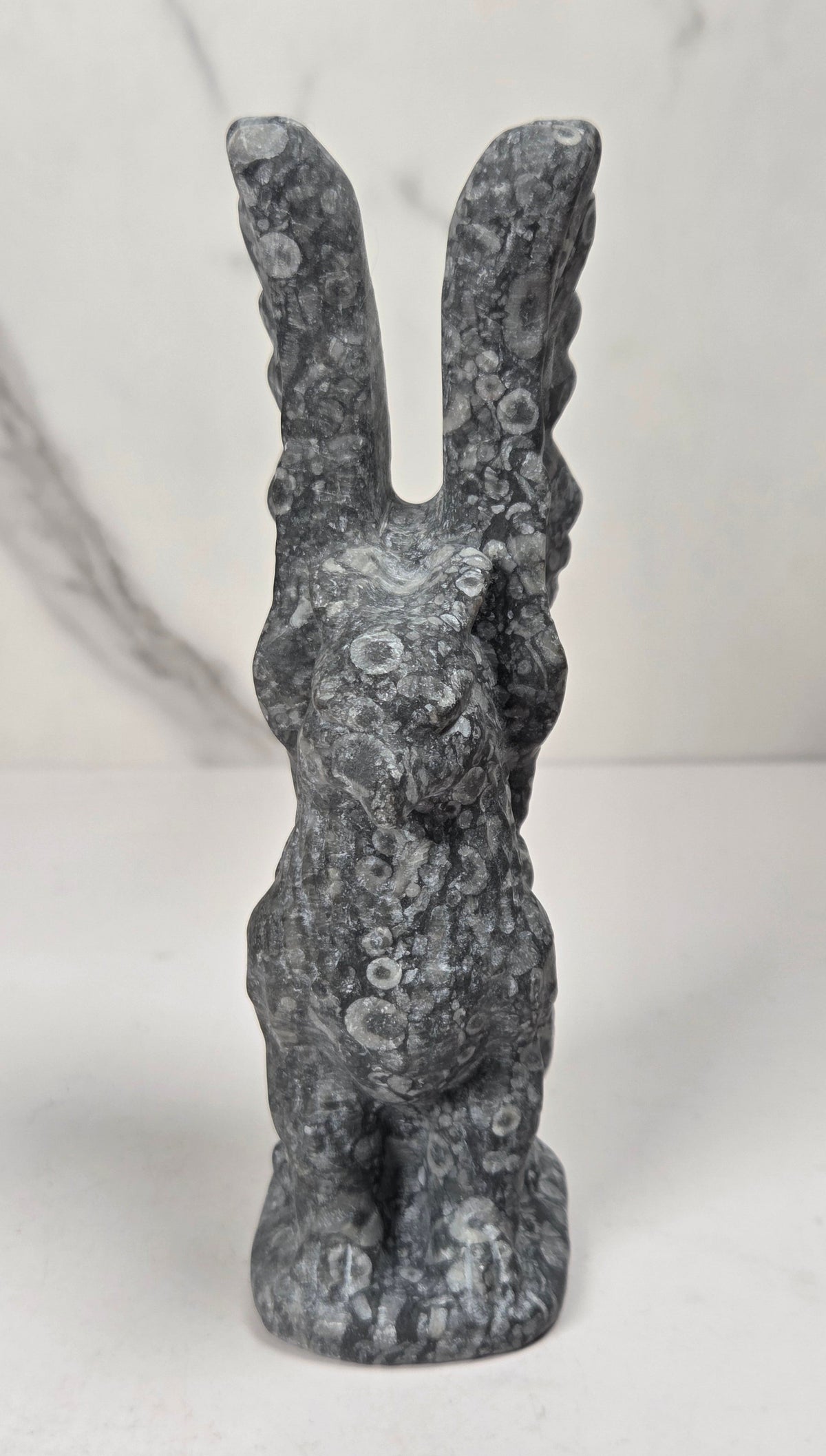 Griffon style carving made of fossil shell jasper material showing fossils against a marbled background