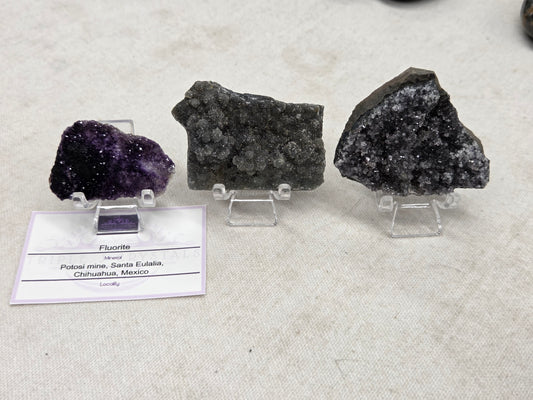 @Tylin Pigeon invoice