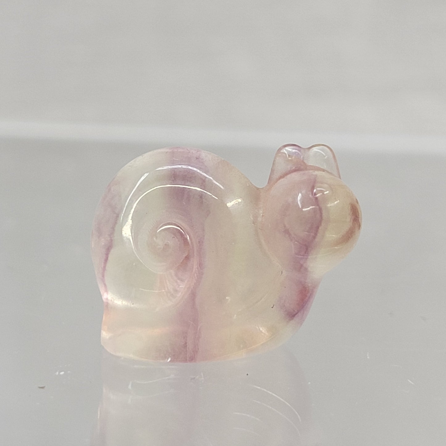 Fluorite mini - snail