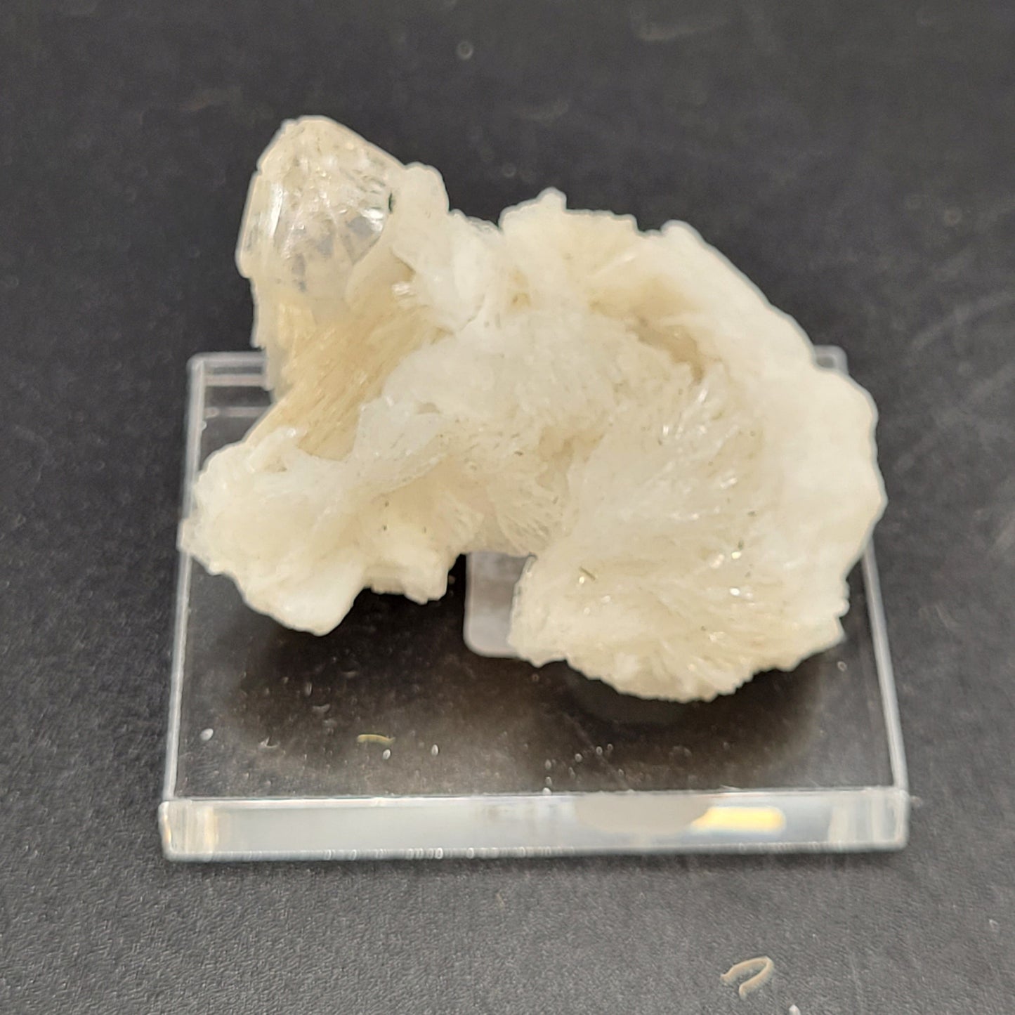 Mixed mineral specimens - Albite, Feldspar, Apophyllite