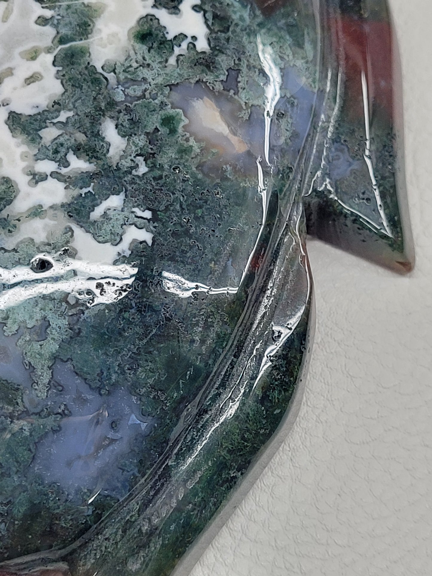 Extra large Moss Agate turtle
