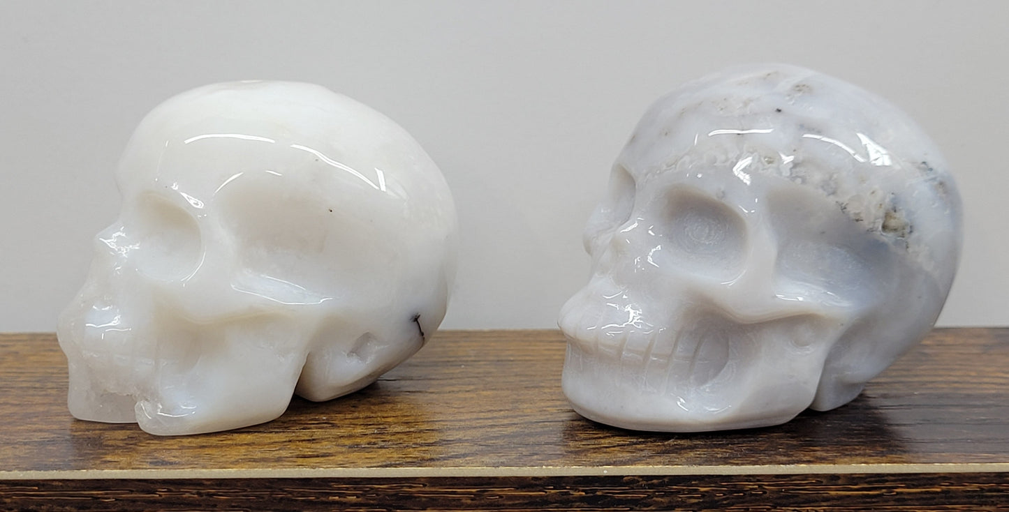 Dendritic Opal skulls