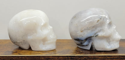 Dendritic Opal skulls