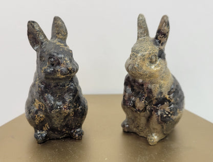 Rabbit/bunny - Picture Jasper