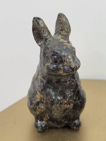 Rabbit/bunny - Picture Jasper