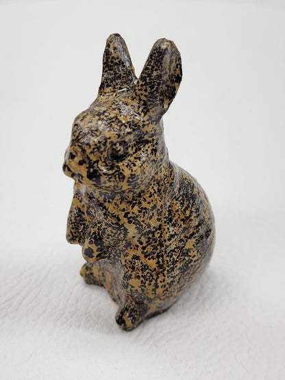 Rabbit/bunny - Picture Jasper