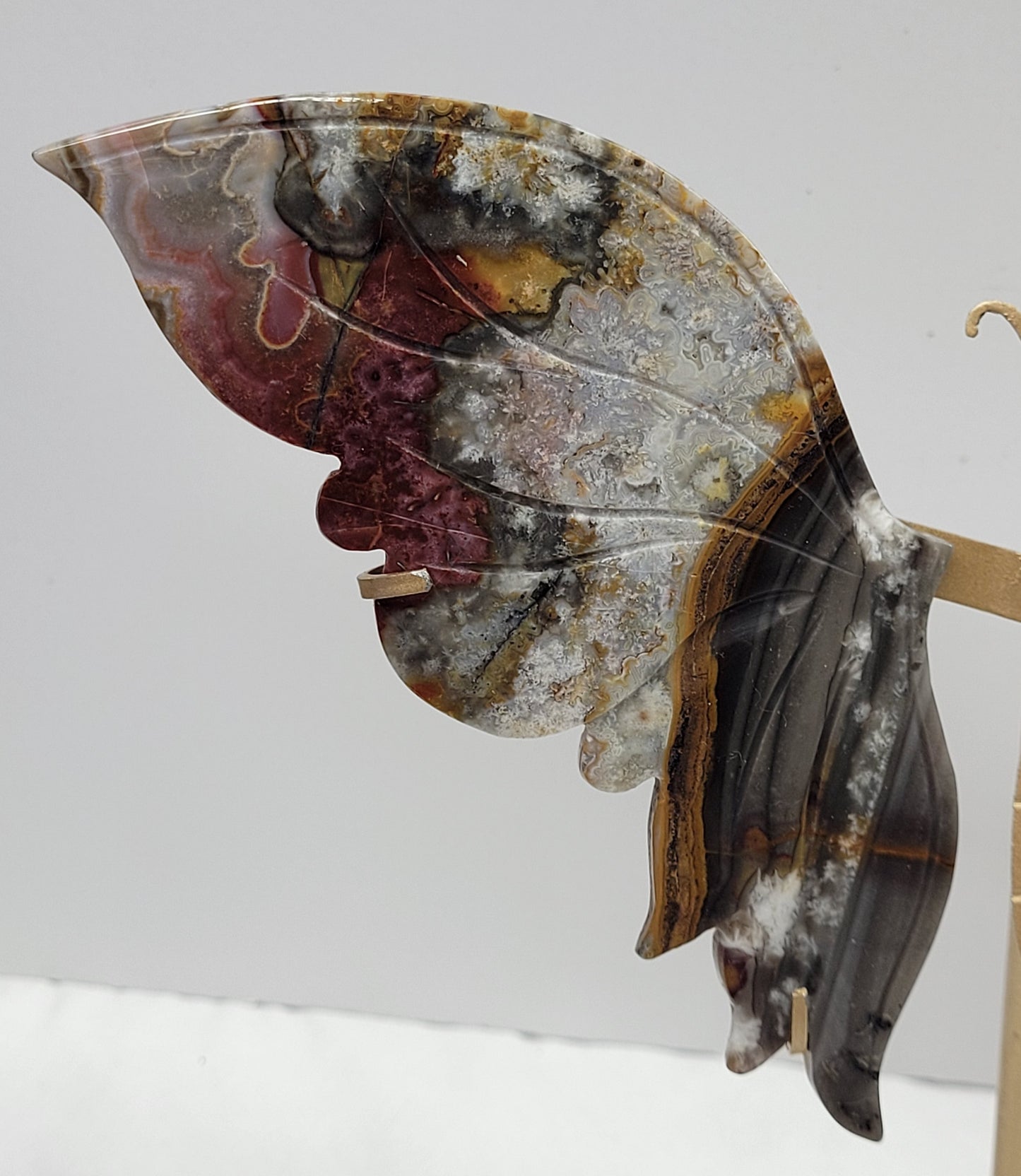 Mexican Agate butterfly wings