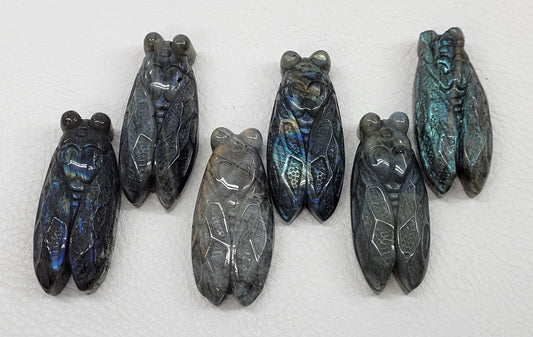 Labradorite Cicada carvings