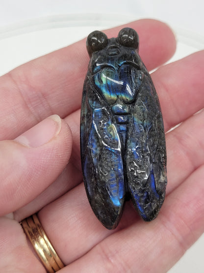 Labradorite Cicada carvings