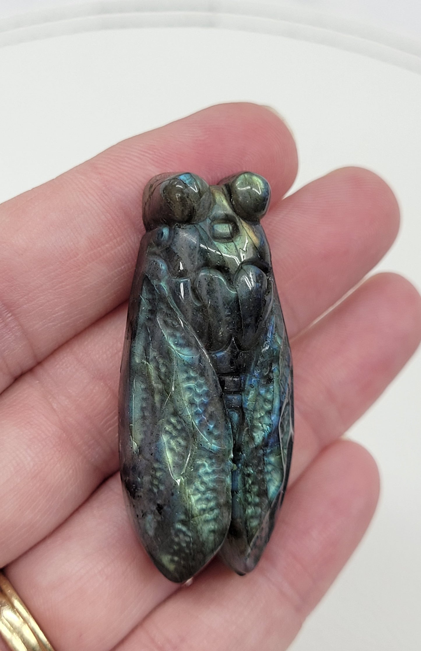 Labradorite Cicada carvings