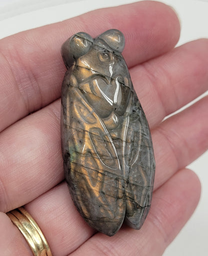 Labradorite Cicada carvings