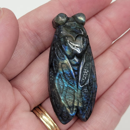 Labradorite Cicada carvings