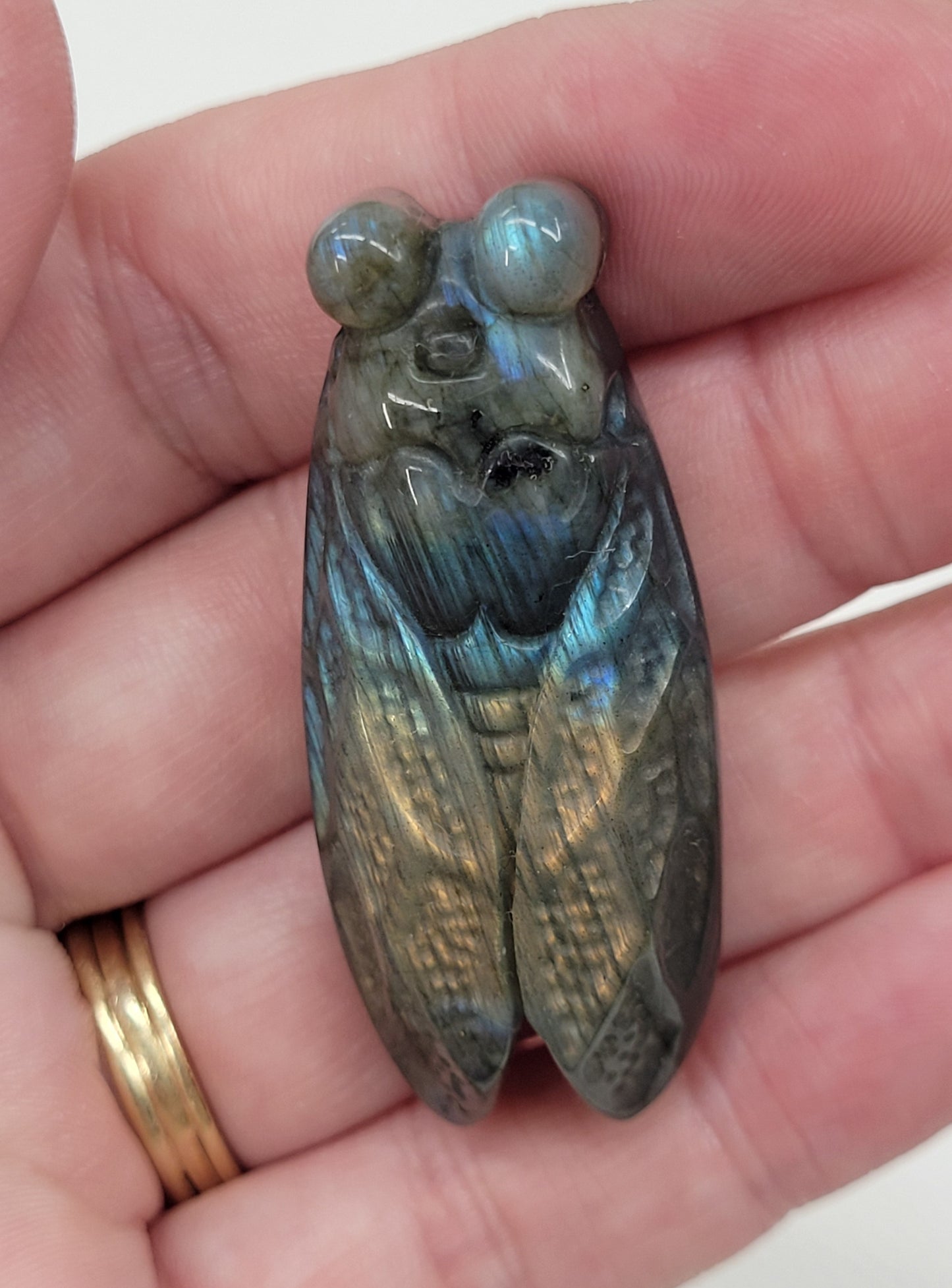 Labradorite Cicada carvings