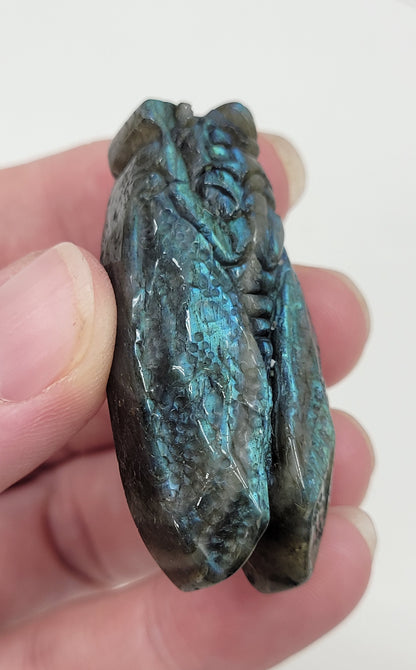 Labradorite Cicada carvings