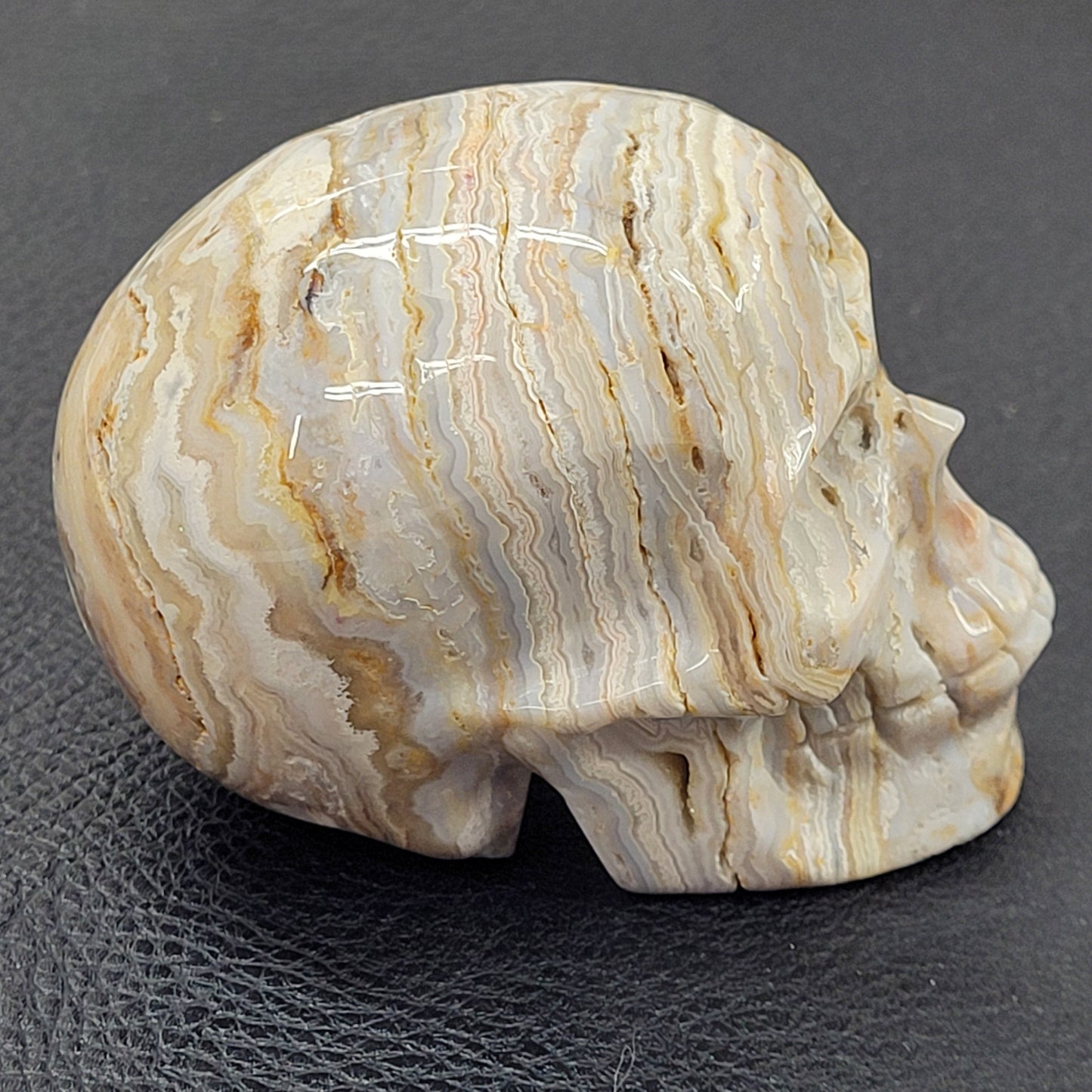 Crazy Lace Agate skull