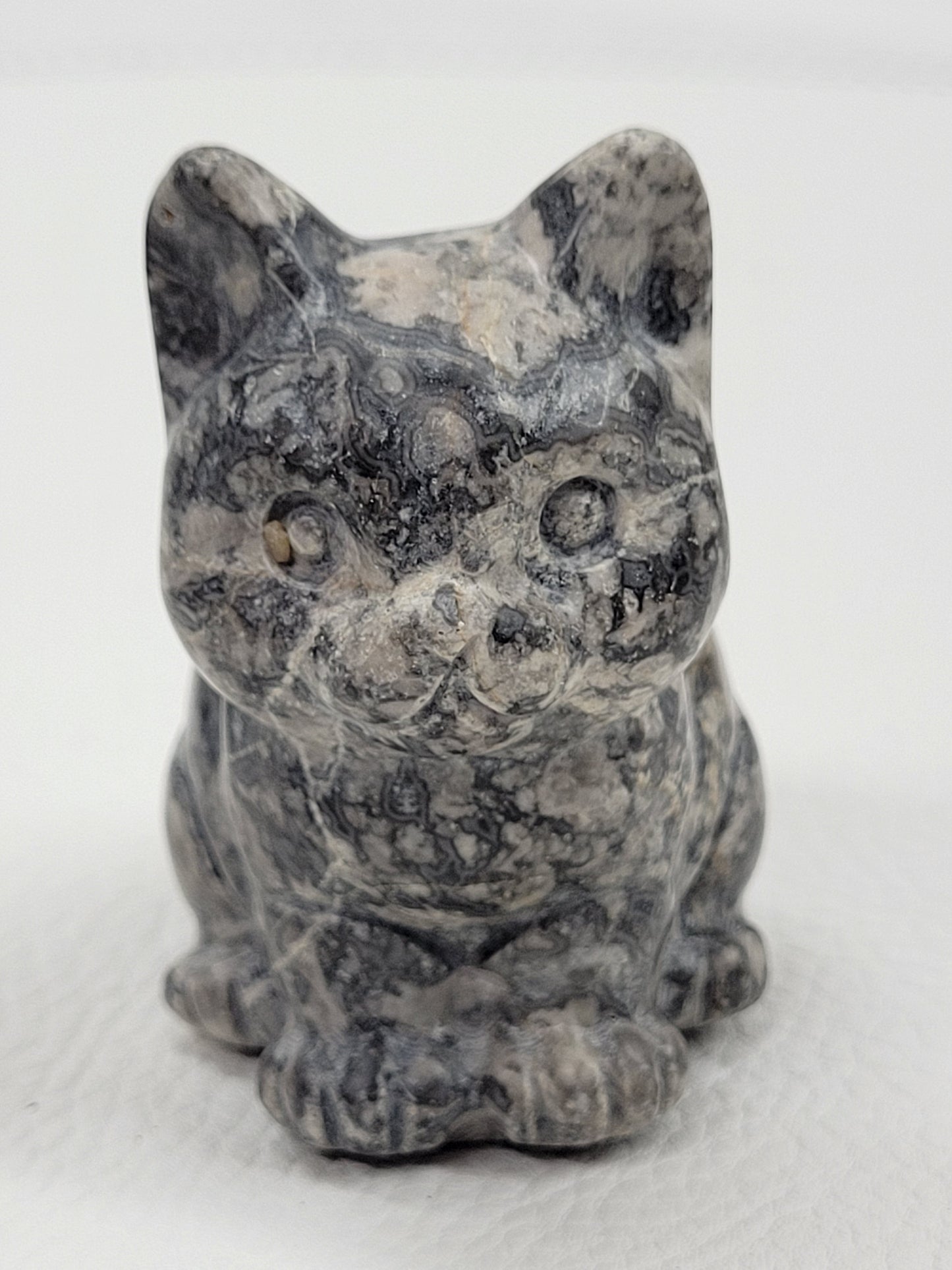 Cute Cat carvings - Large
