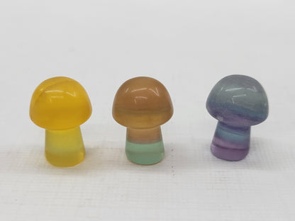 Fluorite mini - Mushroom