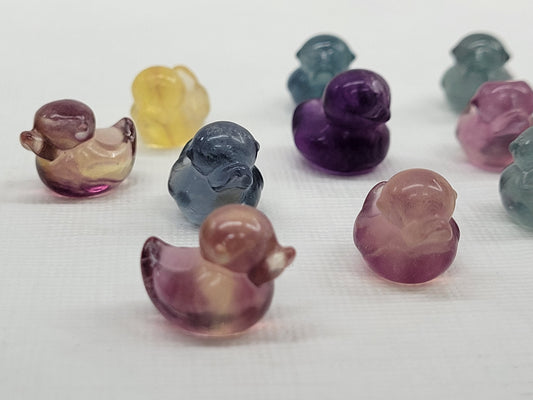 Fluorite mini - Duck