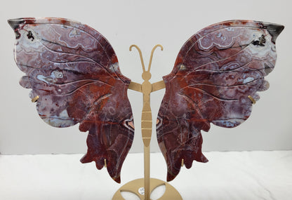 Wings - Mexican Agate butterfly