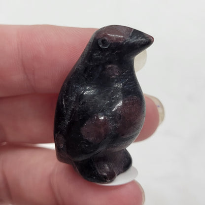 Penguin carvings