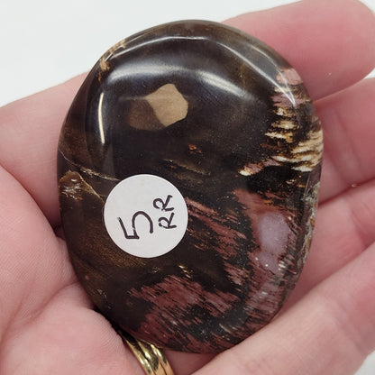 Palm - Petrified Wood