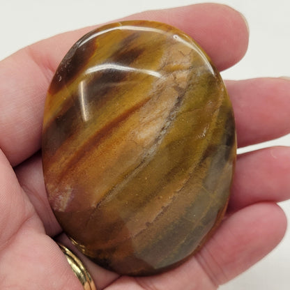 Palm - Petrified Wood