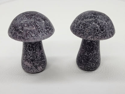 Large mushroom carvings