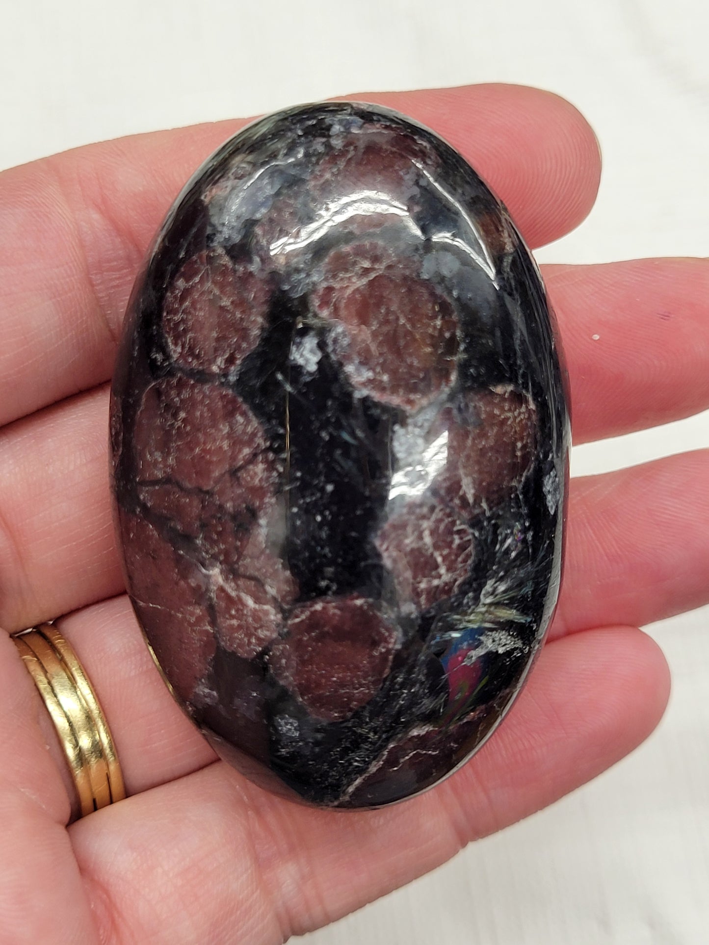 Palm - Garnet in Astrophyllite