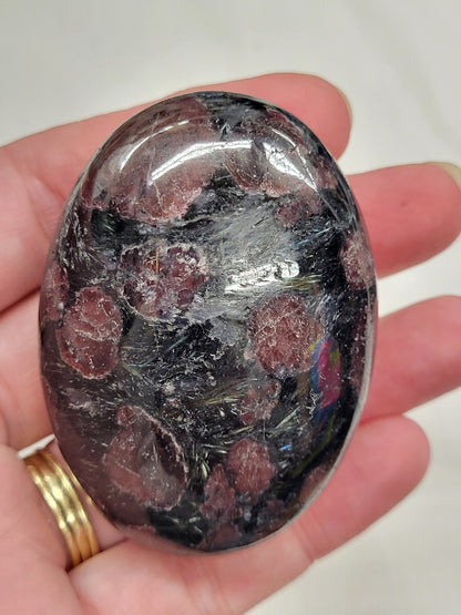 Palm - Garnet in Astrophyllite